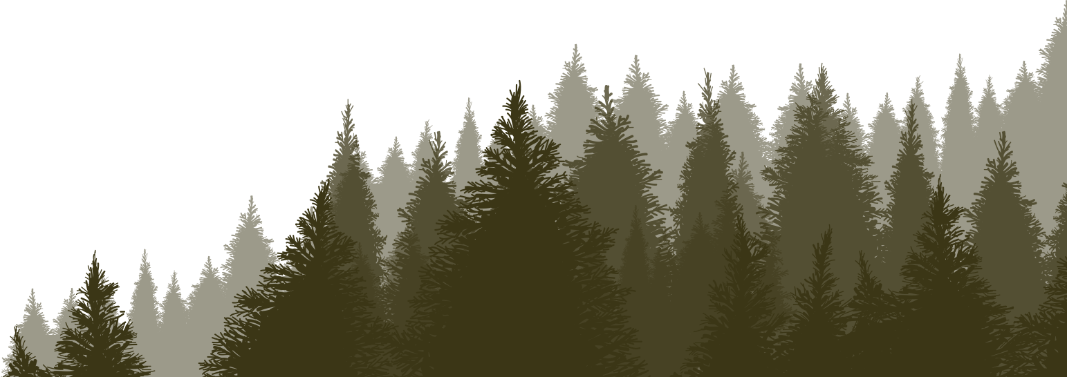 Buy Hardwoods and Slabs Online The Hardwood Centre