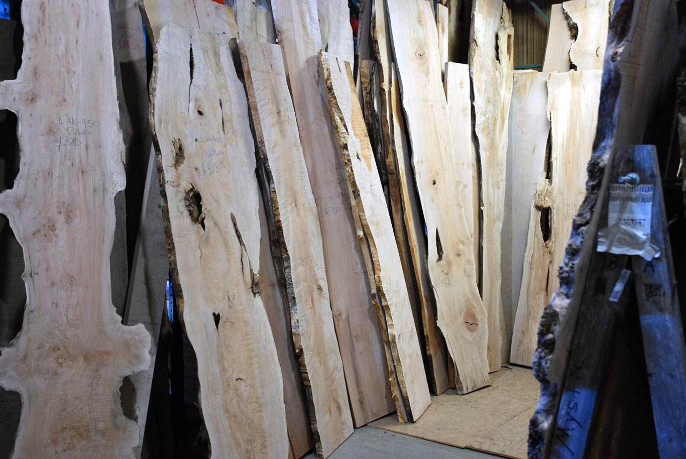 Live Edge Slabs at The Hardwood Centre in Corvallis and Albany, Oregon